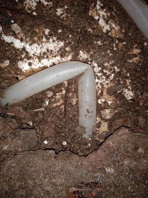 肇州堵点精准查找